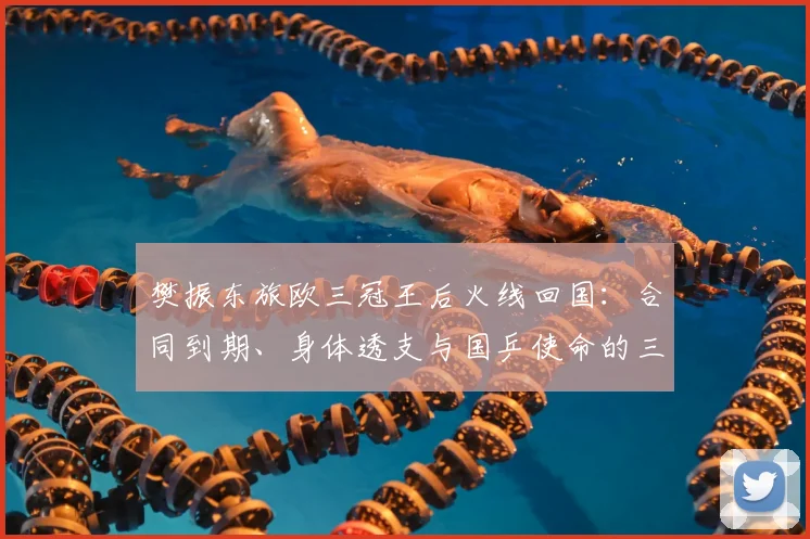 樊振东旅欧三冠王后火线回国：合同到期、身体透支与国乒使命的三重推力