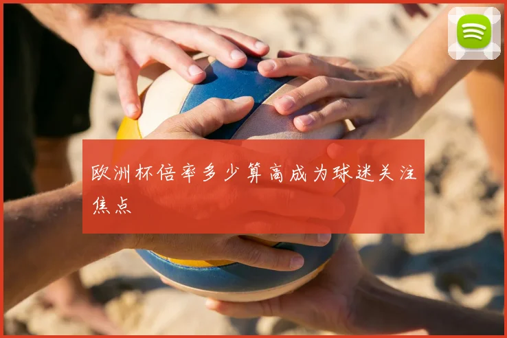 欧洲杯倍率多少算高成为球迷关注焦点