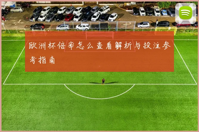 欧洲杯倍率怎么查看解析与投注参考指南