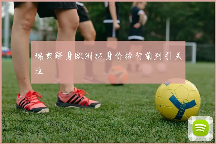 瑞典跻身欧洲杯身价排行前列引关注