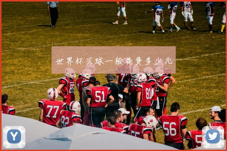 世界杯买球一般花费多少元