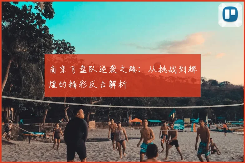 南京飞盘队逆袭之路：从挑战到辉煌的精彩反击解析