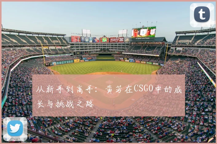 从新手到高手:黄芳在CSGO中的成长与挑战之路