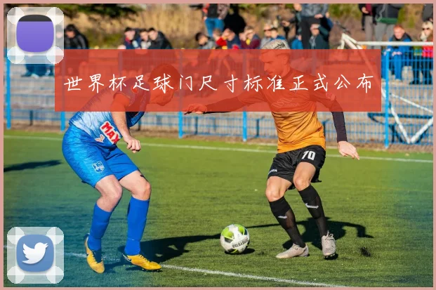 世界杯足球门尺寸标准正式公布