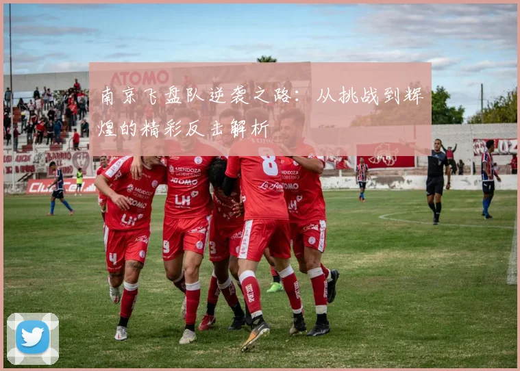 南京飞盘队逆袭之路:从挑战到辉煌的精彩反击解析