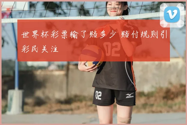 世界杯彩票输了赔多少 赔付规则引彩民关注