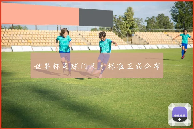 世界杯足球门尺寸标准正式公布