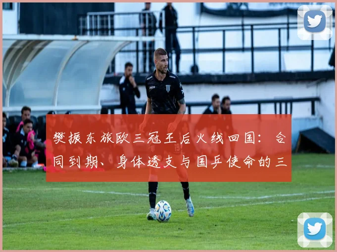 樊振东旅欧三冠王后火线回国：合同到期、身体透支与国乒使命的三重推力