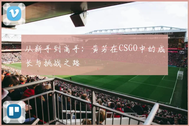 从新手到高手:黄芳在CSGO中的成长与挑战之路