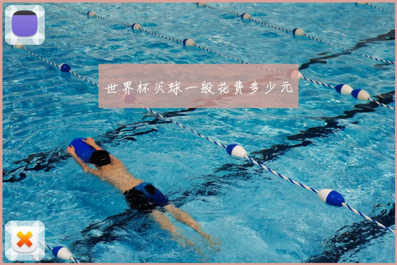 世界杯买球一般花费多少元