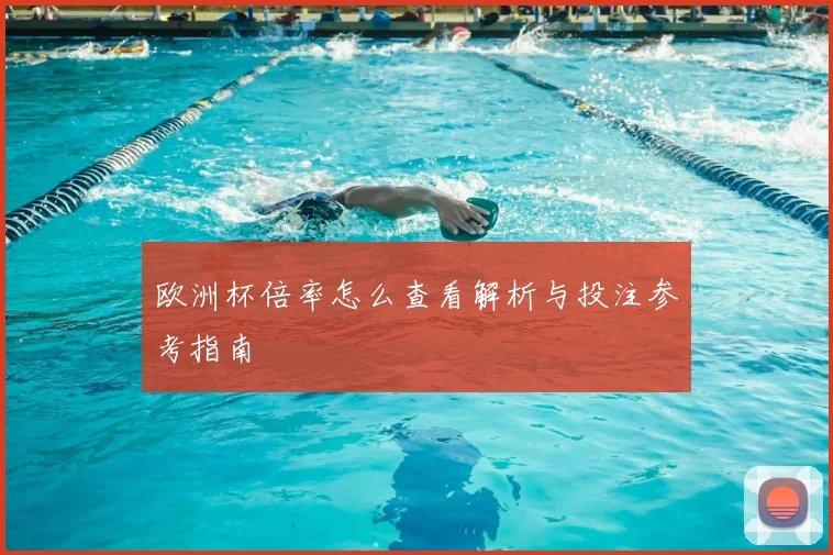 欧洲杯倍率怎么查看解析与投注参考指南